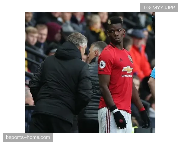 厄德高评价两极分化：技术风格与战术适配性解析